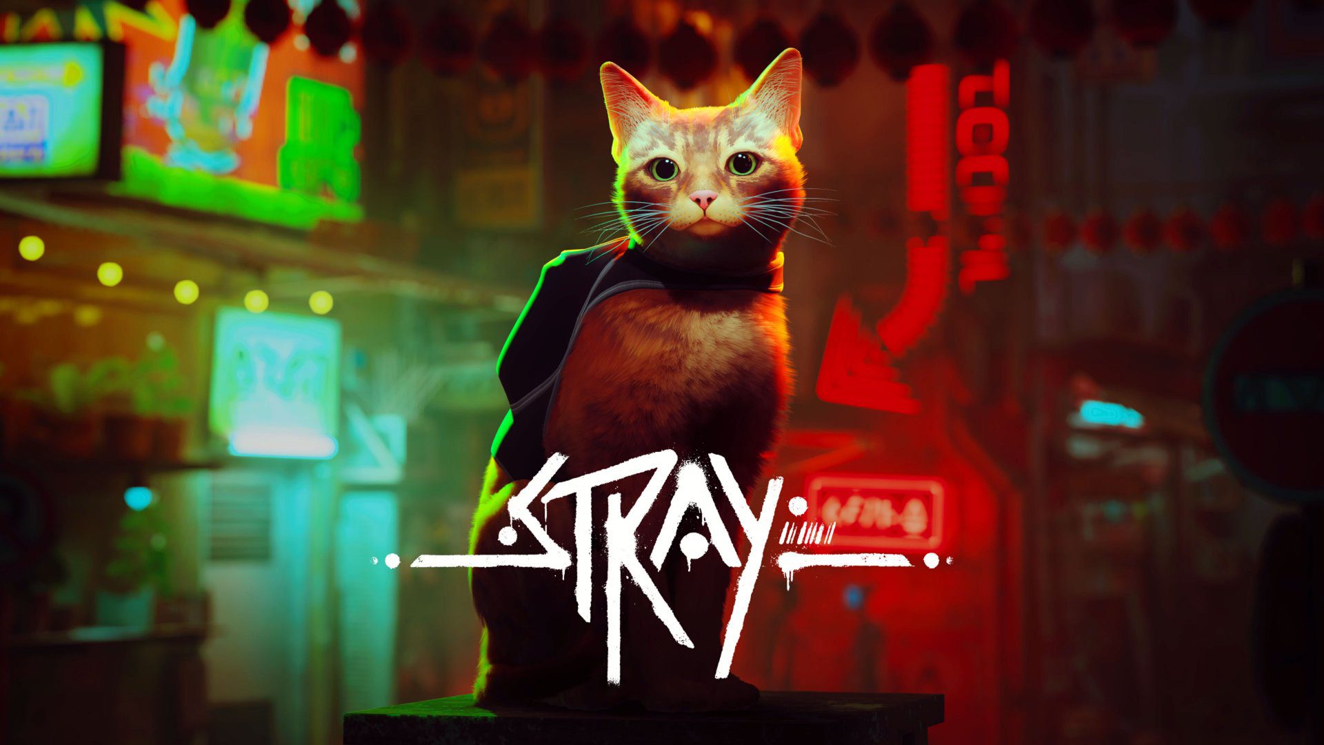stray